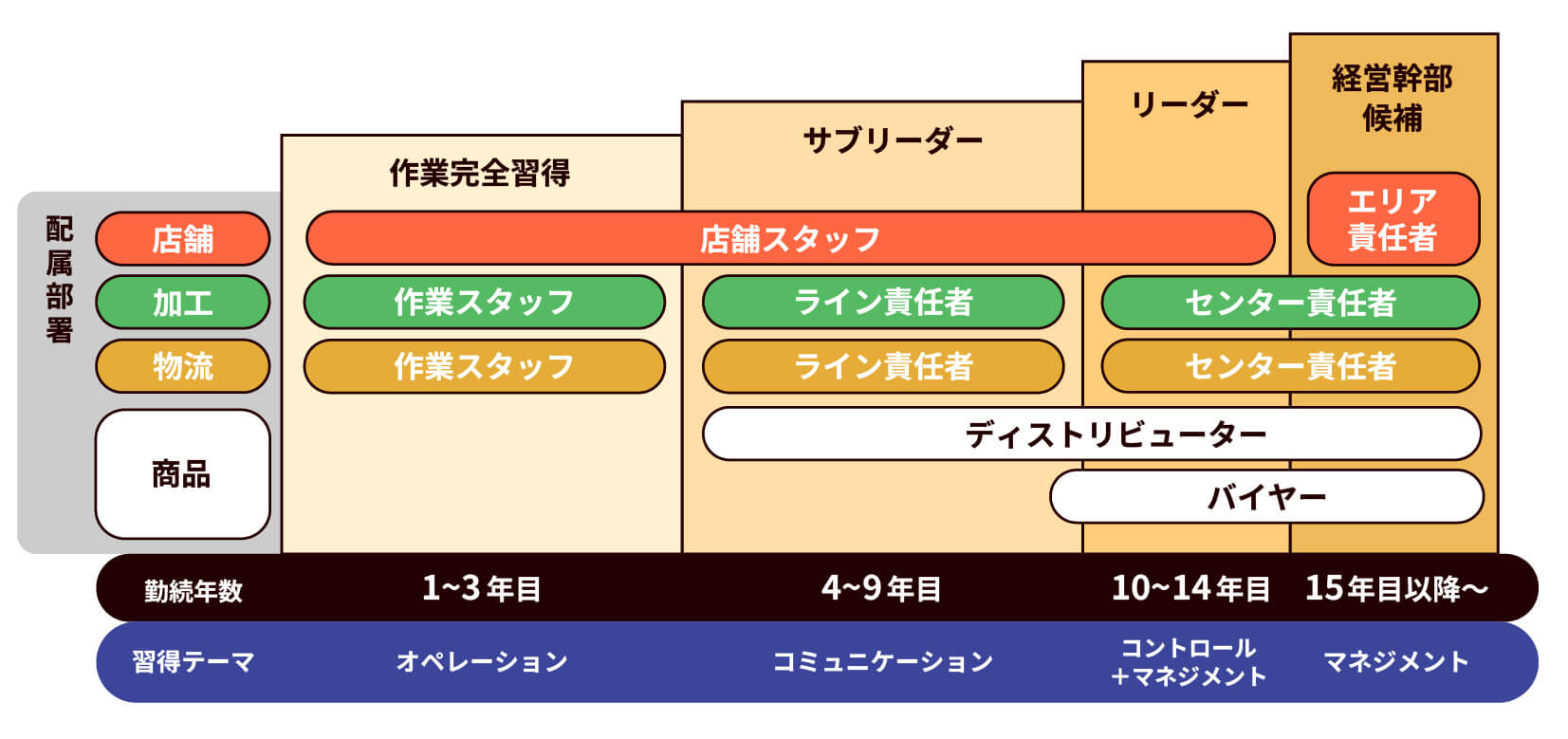 キャリアパスのイメージ