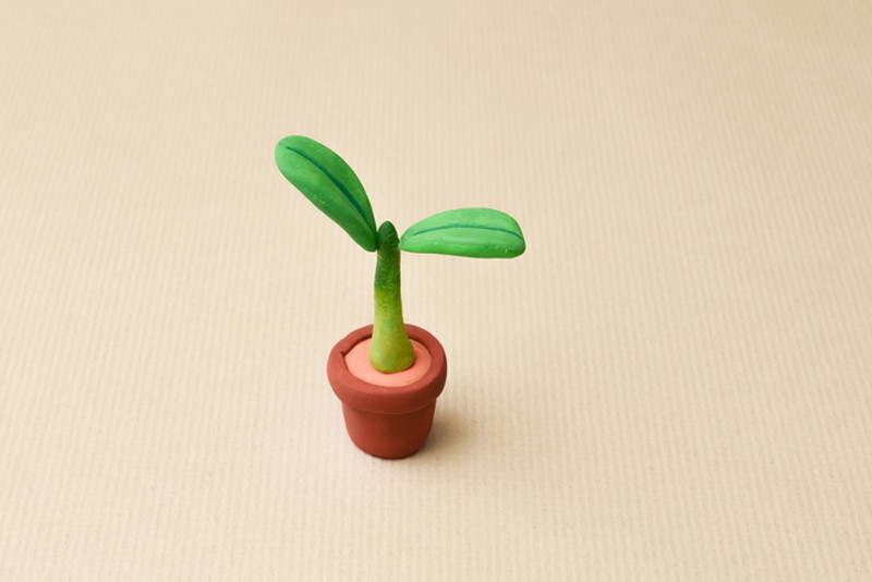 トレーニングイメージ